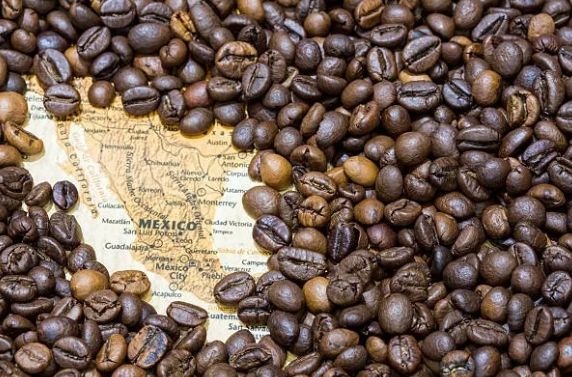 Minnesota Coffee Co Mexican Altura