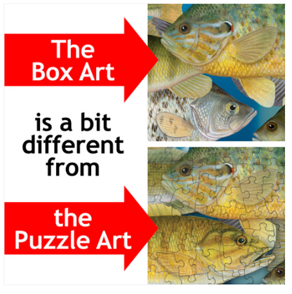 Fish Freenzy
